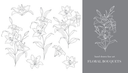 Lily Flower Line Art. Lilies Bouquets Line Art. Fine Line Lilies Arrangements Hand Drawn Illustration. Outline Leaves and Flowers. Botanical Coloring Page. Outline Lily Isolated on White
