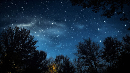 Fototapeta na wymiar night sky with stars and trees
