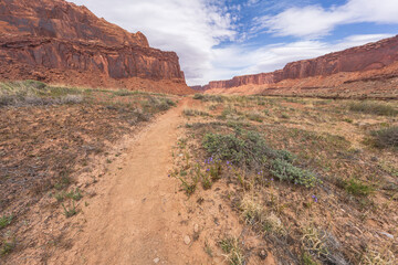 hiking the alcove spring trail, canyonlands national park, usa