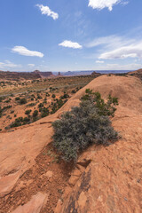 hiking the upheaval dome trail, canyonlands national park, usa