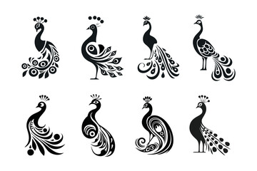 Peacock Ornamental Vector Collection