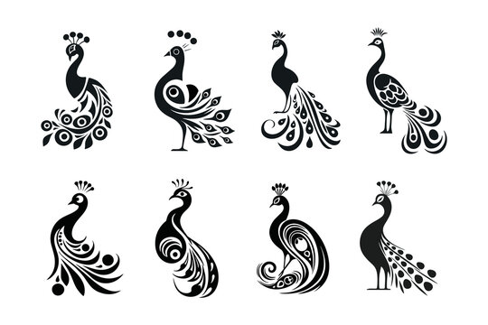 Peacock Ornamental Vector Collection