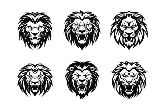 Head Lion Vector Illustrations Collection