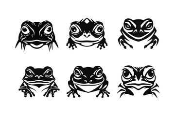 Head Frog Vector Illustrations Collection
