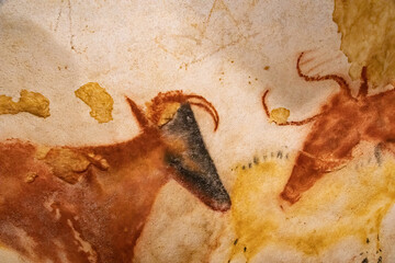 Prehistoric oxen depicted in Lascaux caves