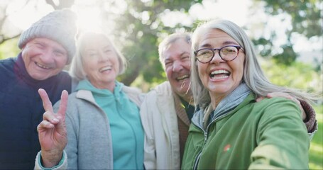 Peace sign selfie, face and senior happy friends bond together with reunion memory photo of old woman, man or club. Morning freedom, nature portrait or relax elderly group for winter profile picture - Powered by Adobe