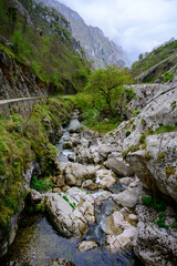 Driving narrow mountain road from Los Arenas to remote mountain village Sotres, Picos de Europa mountains, Asturias, North of Spain