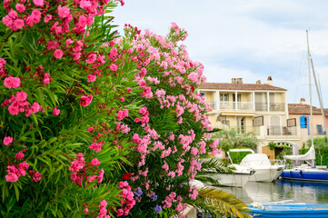 Colorful houses in Port Grimaud, village on Mediterranean sea with yacht harbour, Provence, summer vacation France