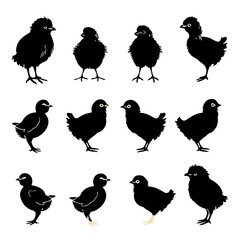 set of chicken silhouettes