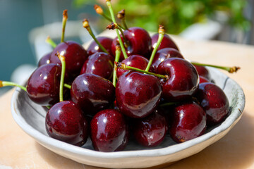 New harvest of fresh ripe dark red cherry berry in Provence, France close up