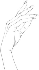 Women Hand in Thin Line Art. Minimalistic and Elegant Hand-Drawn Manicure Design for Female Beauty. High quality illustration