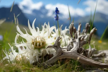 Foto op Canvas Antlers, gentian flower, alpine edelweiss. Generative AI © Vance