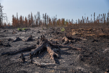 Les incendies au Quebec - 2023