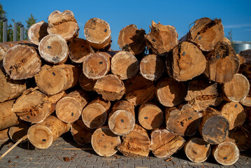 stack of wood. Woodworking industry. Preparation and processing of wooden logs