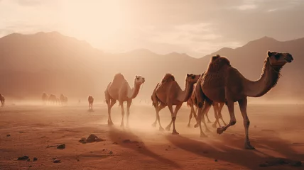 Fotobehang a group of camels walking across a desert © Enzo