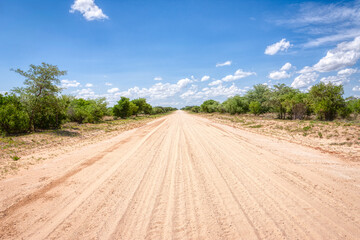 perspective of sand dirt road in the bush, outback dry landscape, daytime, sky with cumulus clouds - obrazy, fototapety, plakaty
