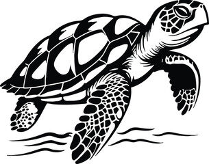 Sea Turtle Swimming Ocean Sea
