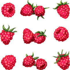 Raspberry icons set cartoon vector. Sweet food. Fruit jam