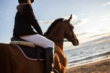 Equestrian sports. A young woman, a rider and her horse, portrait against a clear sky