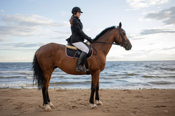 Horsewoman in equestrian sports gear, riding a horse, on the beach, portrait on the background of...