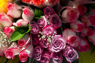 close-up of rose bouquets in strong raking or descriptive sunlight outside a fruit and flower seller