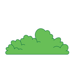 Fototapeta premium Bushes illustration