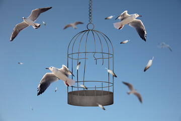 Freedom. Birds flying out of broken cage on light blue background