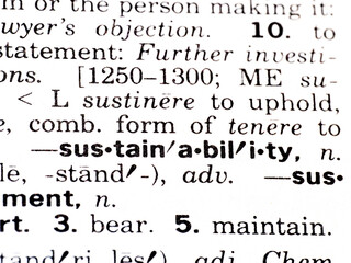 definition of the word sustainability