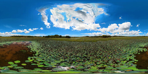 Panama Wewa lake in Sri Lanka view from above. Tropical jungle landscape. Virtual Reality 360. Arugam bay.