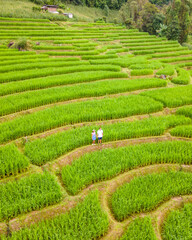 Terraced Rice Field in Chiangmai, Thailand. A couple of men and woman visit the green rice terraces