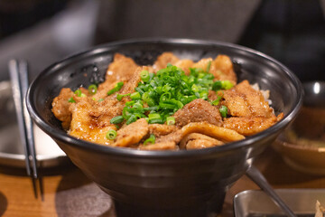 Top down view of a bbq grilled pork rice bowl with green onion toppings, Ueno, Tokyo, Japan