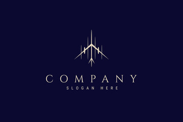 Passenger airplane logo in gold color with linear design style