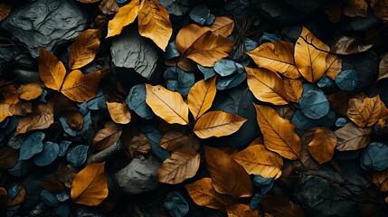 autumn leaves background