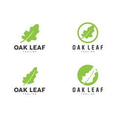 Oak Leaf Logo Design, Simple Green Plant Vector, Template Illustration