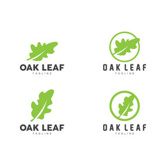 Oak Leaf Logo Design, Simple Green Plant Vector, Template Illustration