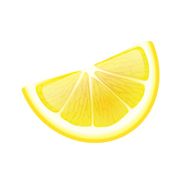 Vector realistic fruits composition with images of sliced lemon fruit on blank background