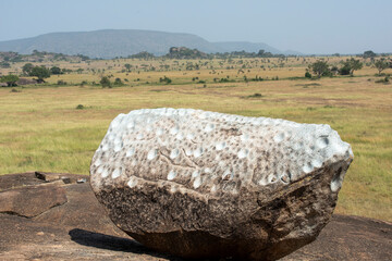 A rock gong is a slab of rock that is hit like a drum to create music, this one is in Tanzania Serengeti National Park ,Africa.