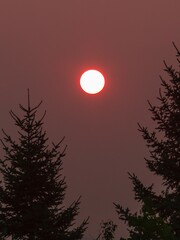 Sunset in a smoky summer afternoon.