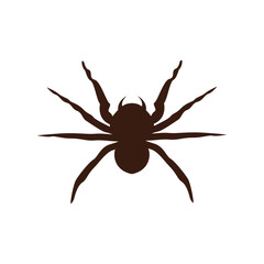 spider logo icon