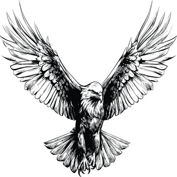Eagle vector illustrations logo, t-shart design wallpaper  
