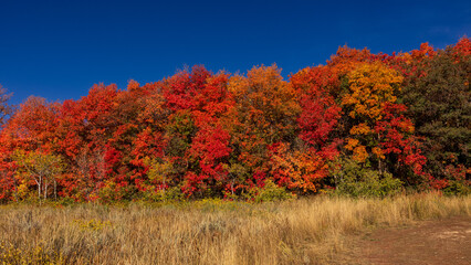 Beautiful Utah mountains in fall