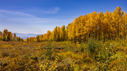 Fototapeta premium Beautiful Utah mountains in fall