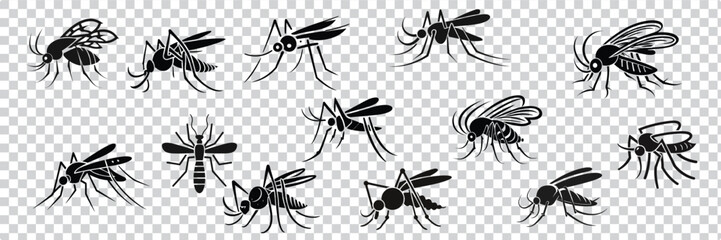 Set of Mosquito Silhouette vector illustration, Close Up Mosquito Silhouette - obrazy, fototapety, plakaty