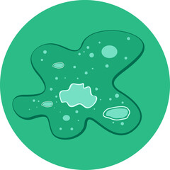 amoeba