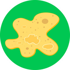 amoeba
