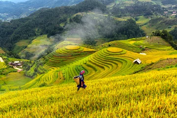 Cercles muraux Mu Cang Chai Top view of terrace rice field with old hut at countryside in mu cang chai near Sapa city