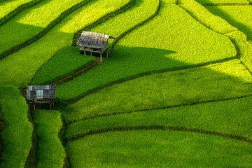 Foto auf Acrylglas Mu Cang Chai Top view of terrace rice field with old hut at countryside in mu cang chai near Sapa city