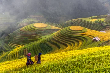 Deurstickers Mu Cang Chai Top view of terrace rice field with old hut at countryside in mu cang chai near Sapa city
