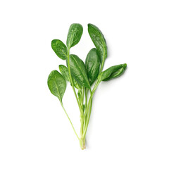 Fresh spinach on white