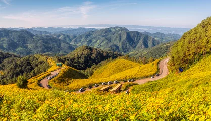 Cercles muraux Jaune sunflower road and mountain in Thung Bua Tong Fields at Doi Mae U Kho